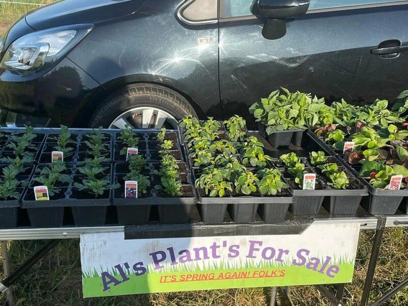 Weeting Car Boot Sale